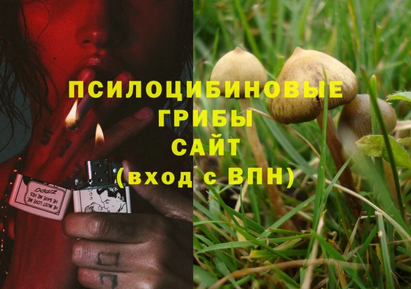 прущая мука Бородино