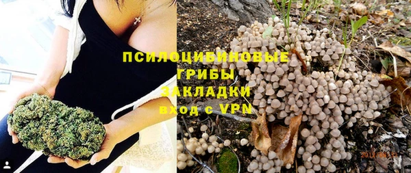 тгк Бугульма