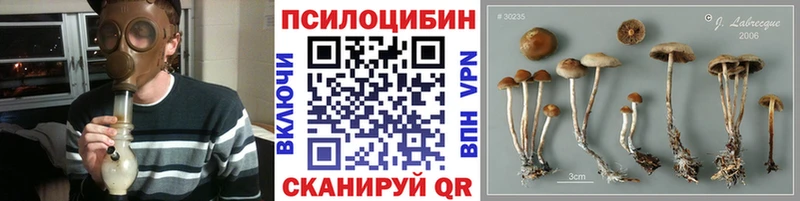 Псилоцибиновые грибы прущие грибы  Кировск 